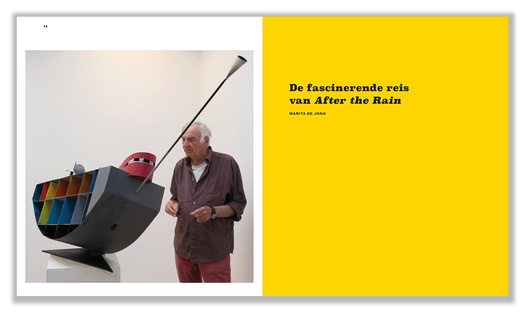 Auke de Vries – After the Rain