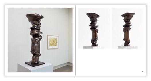 Tony Cragg - Points of View