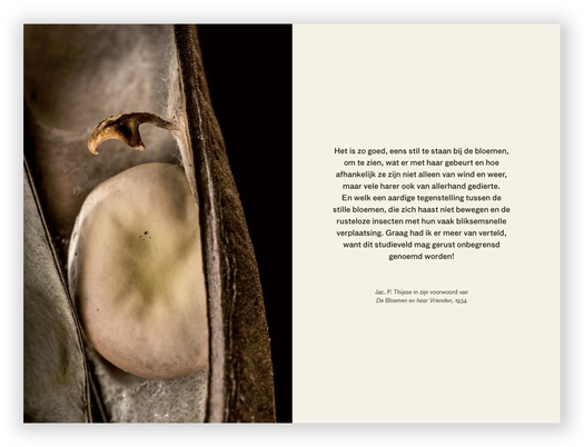 Oase Oranjewoud - natuur en focus